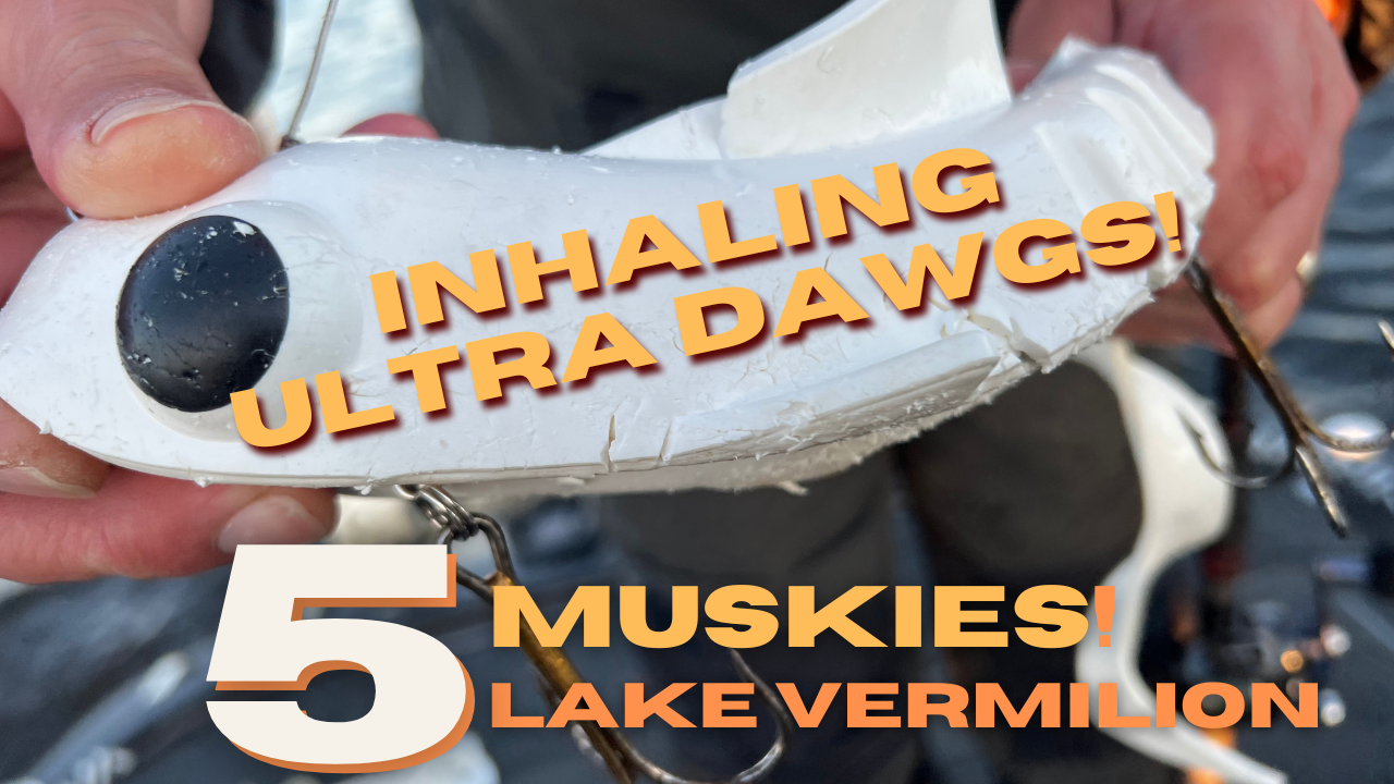 Lake Vermilion 5 Musky Day in November!