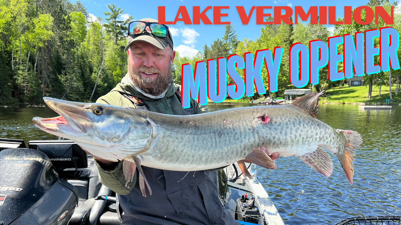 Lake Vermilion Musky Opener 2024!