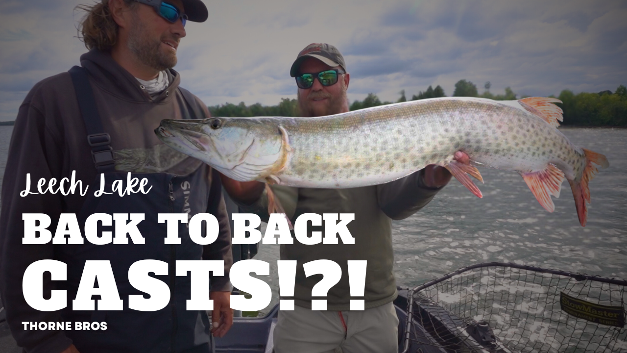 Leech Lake Muskies (BACK TO BACK CASTS?!)