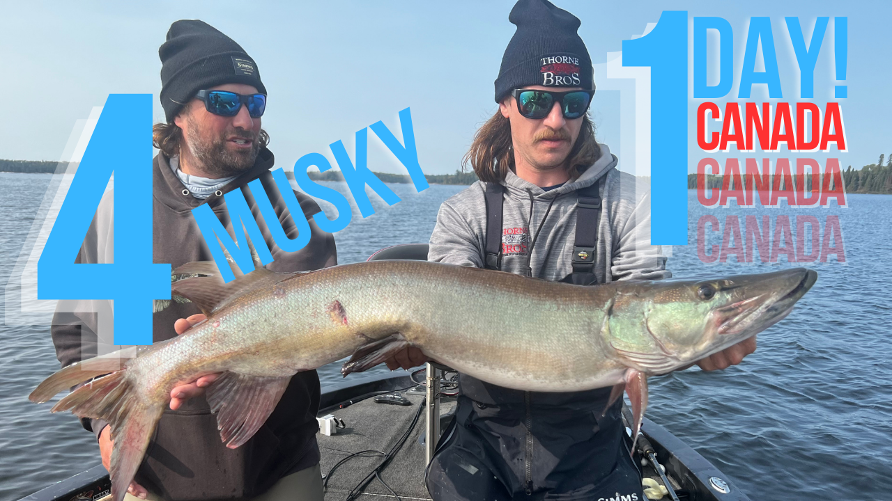 4 Muskies In 1 Day With Luke Ronnestrand!