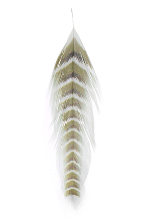 MFC Galloup's Fish Feathers