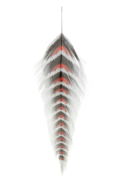 MFC Galloup's Fish Feathers