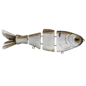 Bull Shad 6" Fast Sink Swimbait