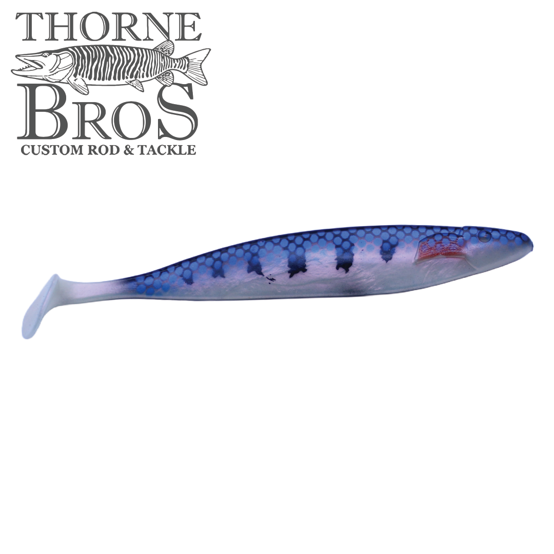 Action Plastics 15" Shad - TB Custom