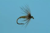 BWO Soft Hackle