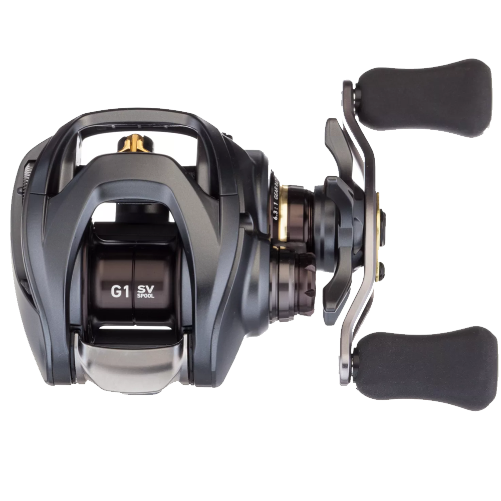 Daiwa 24 Steez SV TW 100H (Right handed)